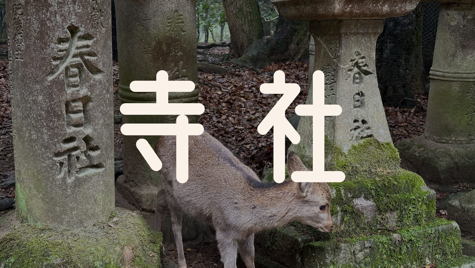 お寺や神社についてのあれこれ